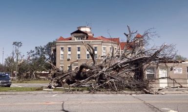 A large tree on the ground in front of a historic building