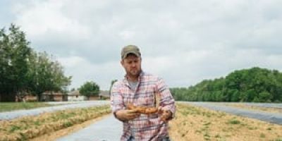 A farmer inspects his sweet potatoes