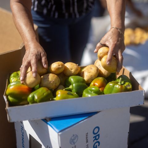 Volunteer Opportunities At Your Local Food Bank | Feeding America