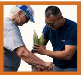 Two volunteers packing grocery bags