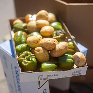 Vegetables in a box.