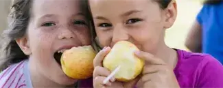 Two children enjoying apples at a summer meal program.